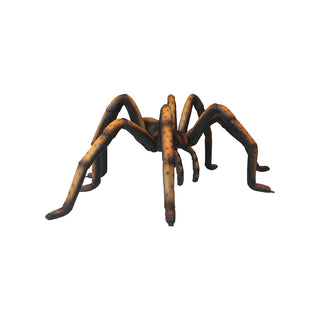 Recluse Spider Black