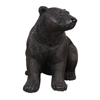 American Black Bear, Sitting