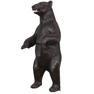 American Black Bear, Standing