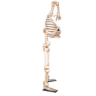 Big Headless Skeleton