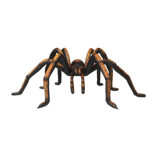 Recluse Spider Brown