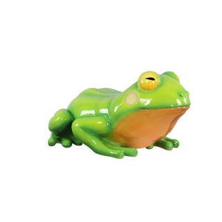 Oranged-Eyed Tree Frog