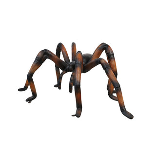 Recluse Spider Brown