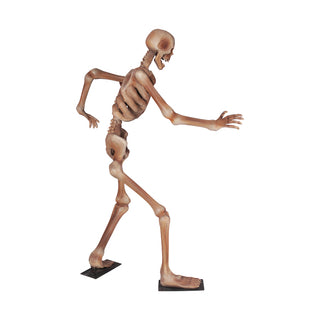 Skeleton 180 "Running"