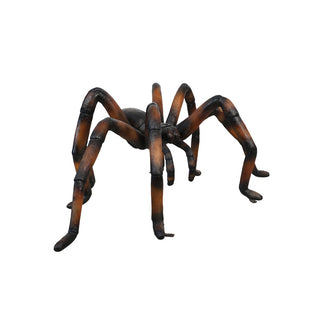Recluse Spider Brown