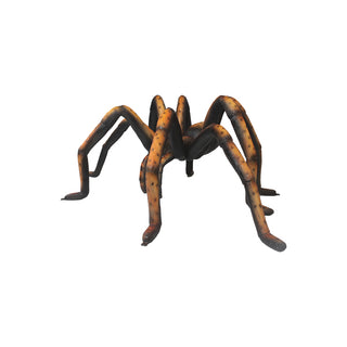 Recluse Spider Black