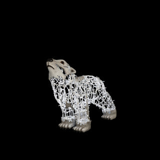 Polar Bear Baby, Walking