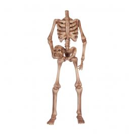 Headless Skeleton Statue