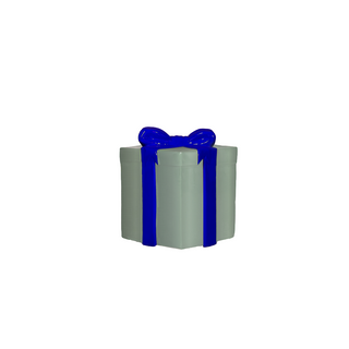 GIFT BOX SMALL (SILVER AND BLUE RIBBON)