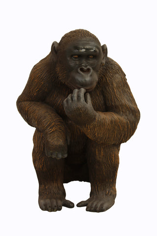 Eating Chimpanzee