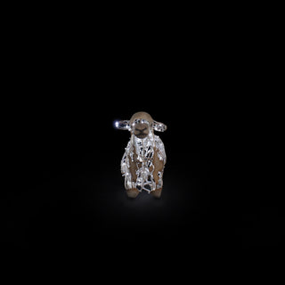 Sheep Standing