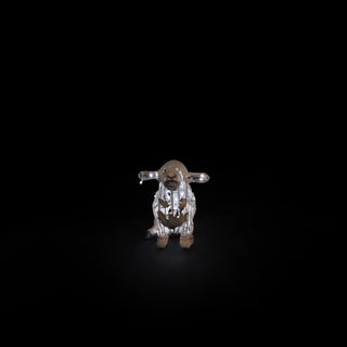 Sheep Baby Standing