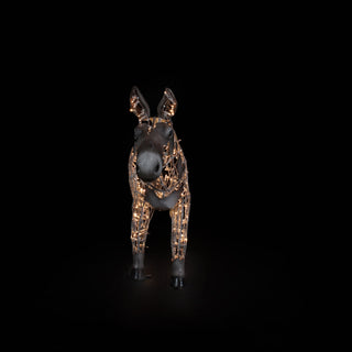 Donky Standing
