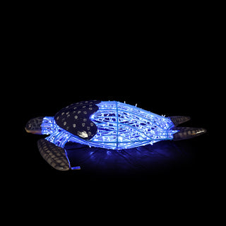Turtle Swimming