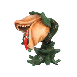 Carnivore Plant