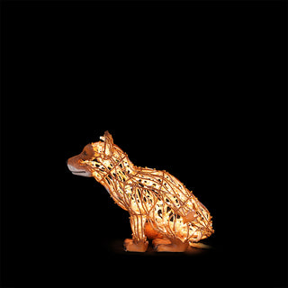Fox Small Sitting