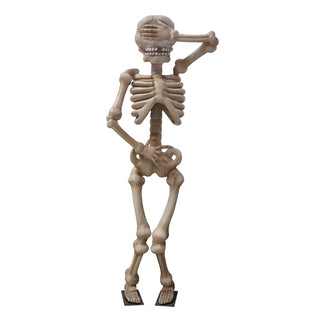 Skeleton 3.5m "Shy"