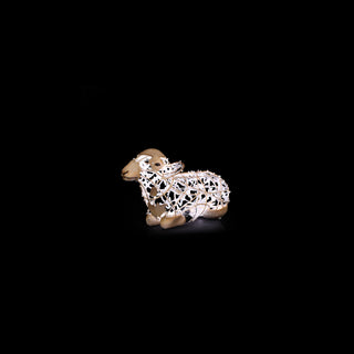Nativity Baby Sheep