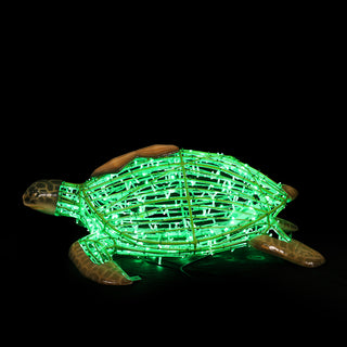 Turtle Standing
