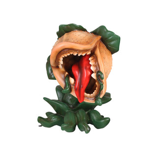 Carnivore Plant