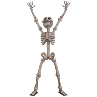 Skeleton 3,5m "Happy"