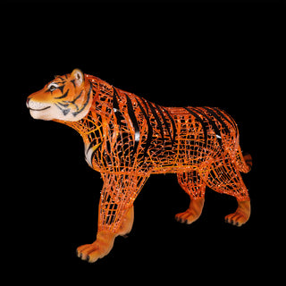 Tiger Walking