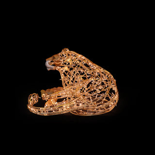 Lion Queen