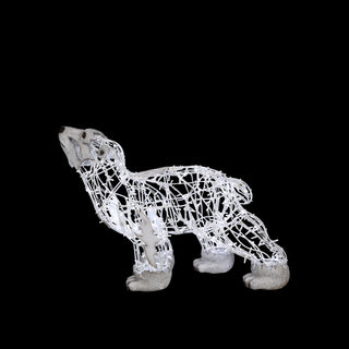 Polar Bear Baby, Walking