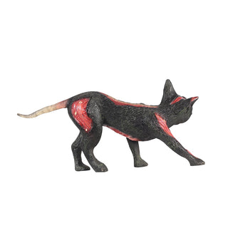 The Cursed Cat