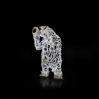 Polar Bear Baby, Standing