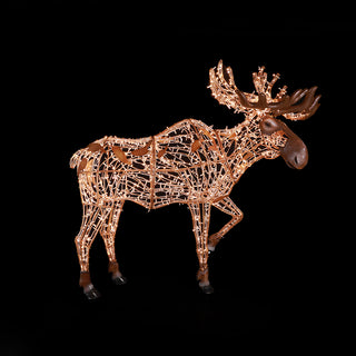 Mr. Moose