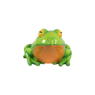 Oranged-Eyed Tree Frog