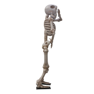 Skeleton 3.5m "Shy"