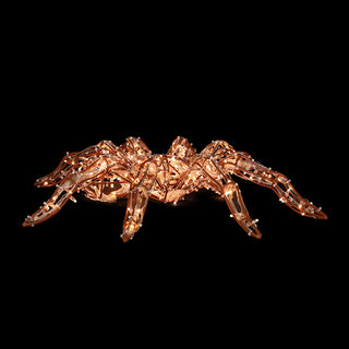 Spider (brown)