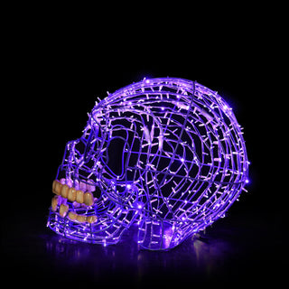 Skull Purple