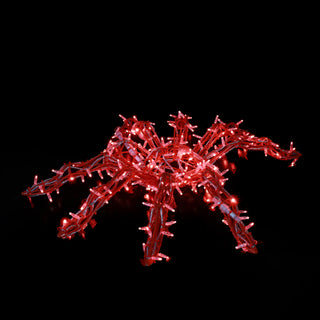 Spider (red)