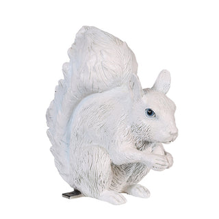 SQUIRREL 1 (WHITE)