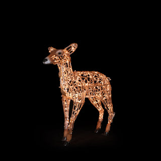 Deer Fawn Standing