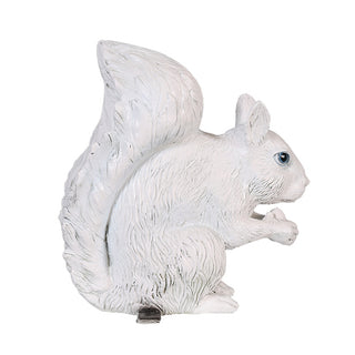 SQUIRREL 1 (WHITE)
