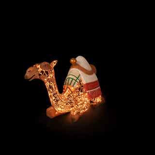 Nativity Camel
