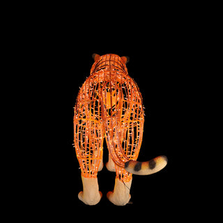 Tiger Standing