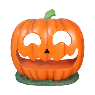 SIT IN PUMPKIN PHOTO OP