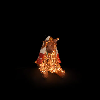 Nativity Camel