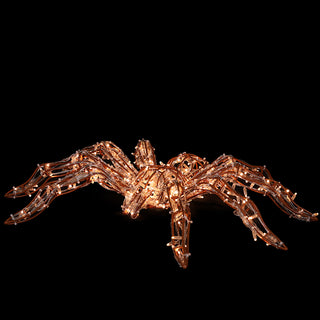 Spider (brown)