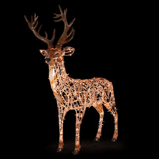 STAG GOLDEN WHITE - STANDING