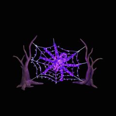 Spider Web and Spider (Purple)